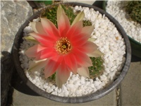 92f5aa7f-Picture 8828.jpg